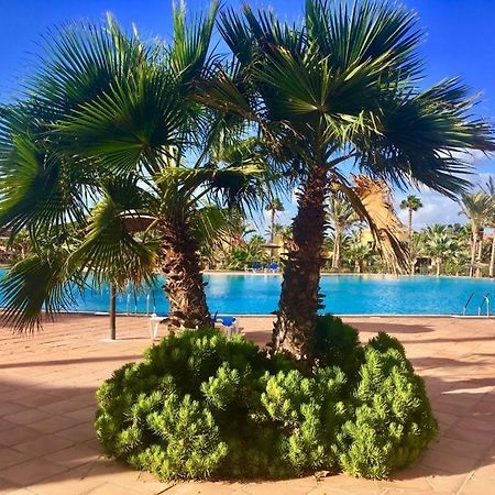 Fuerteventura Apartments Corralejo Exteriér fotografie