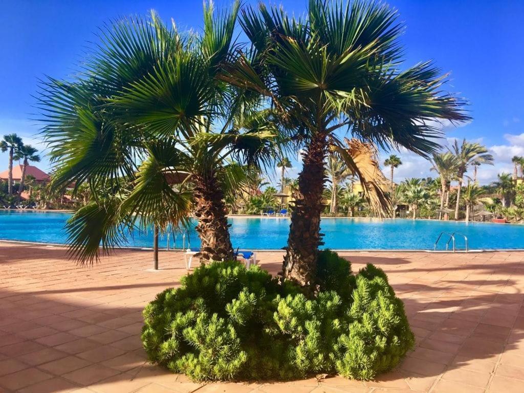 Fuerteventura Apartments Corralejo Exteriér fotografie