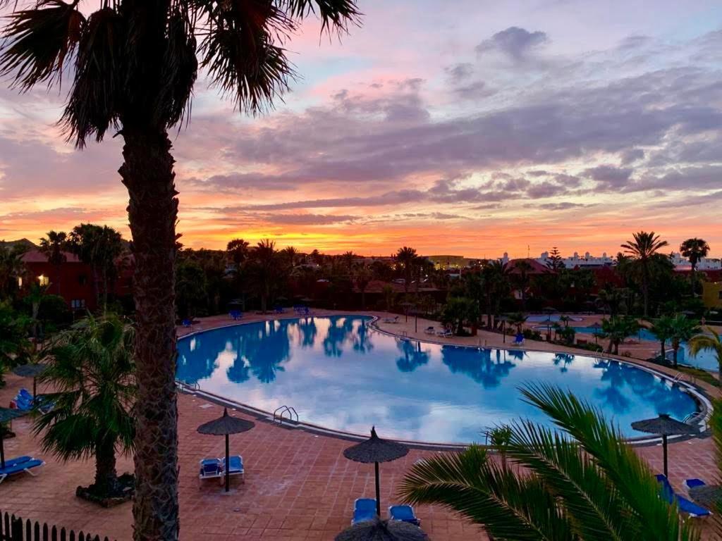 Fuerteventura Apartments Corralejo Exteriér fotografie