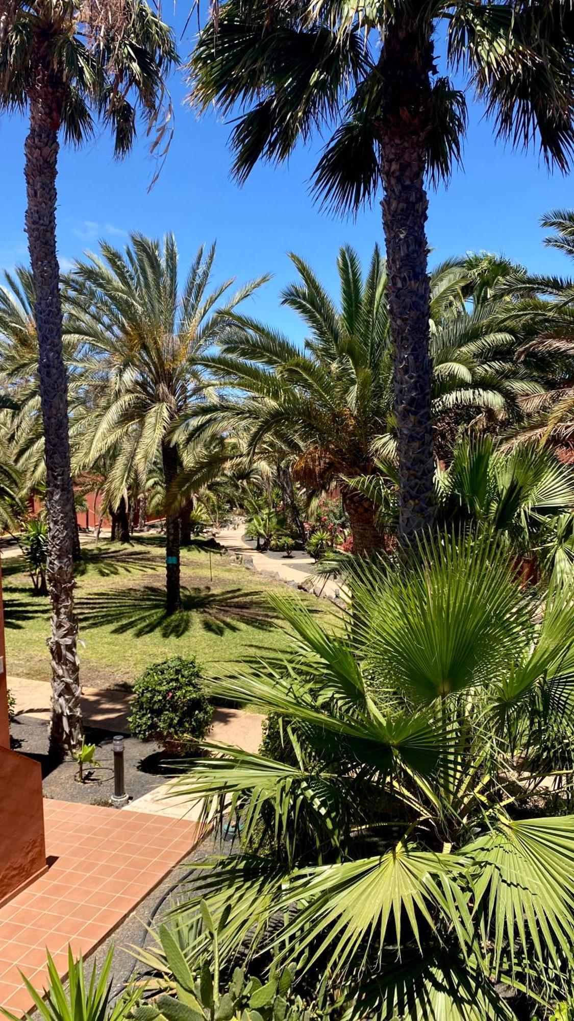 Fuerteventura Apartments Corralejo Exteriér fotografie